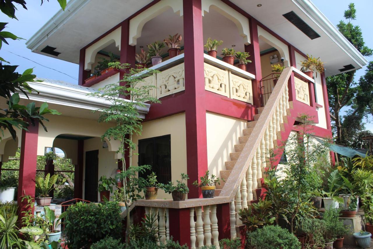 Peace Lily Studio Apartments Panglao Exterior photo