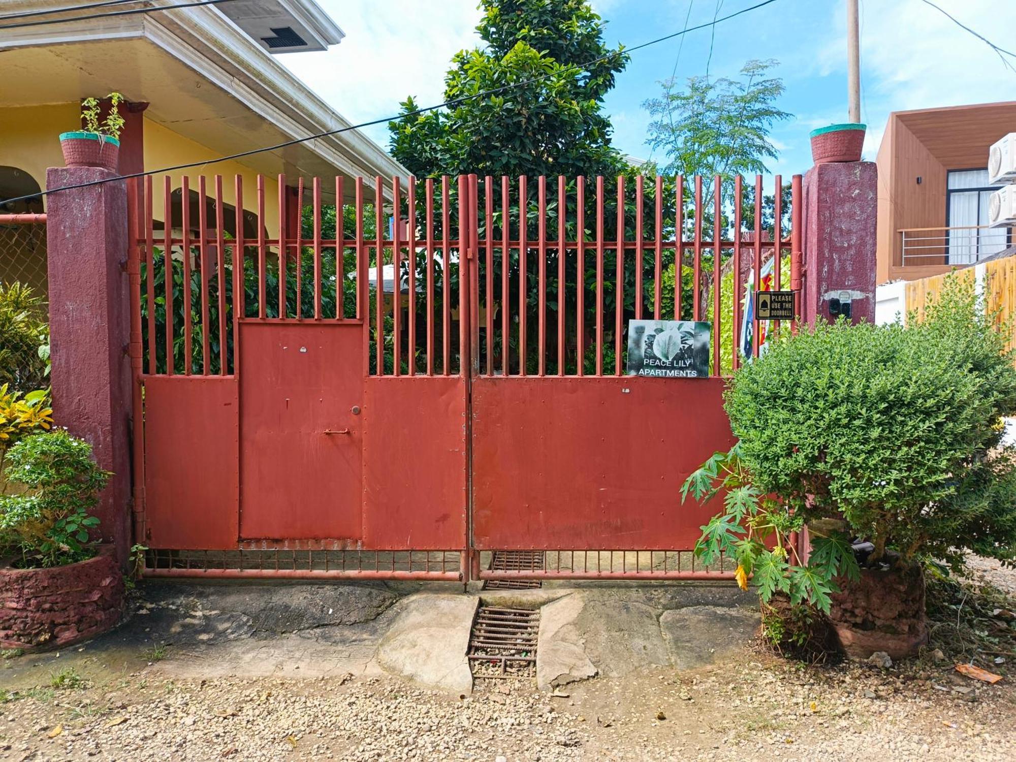 Peace Lily Studio Apartments Panglao Island Exterior photo