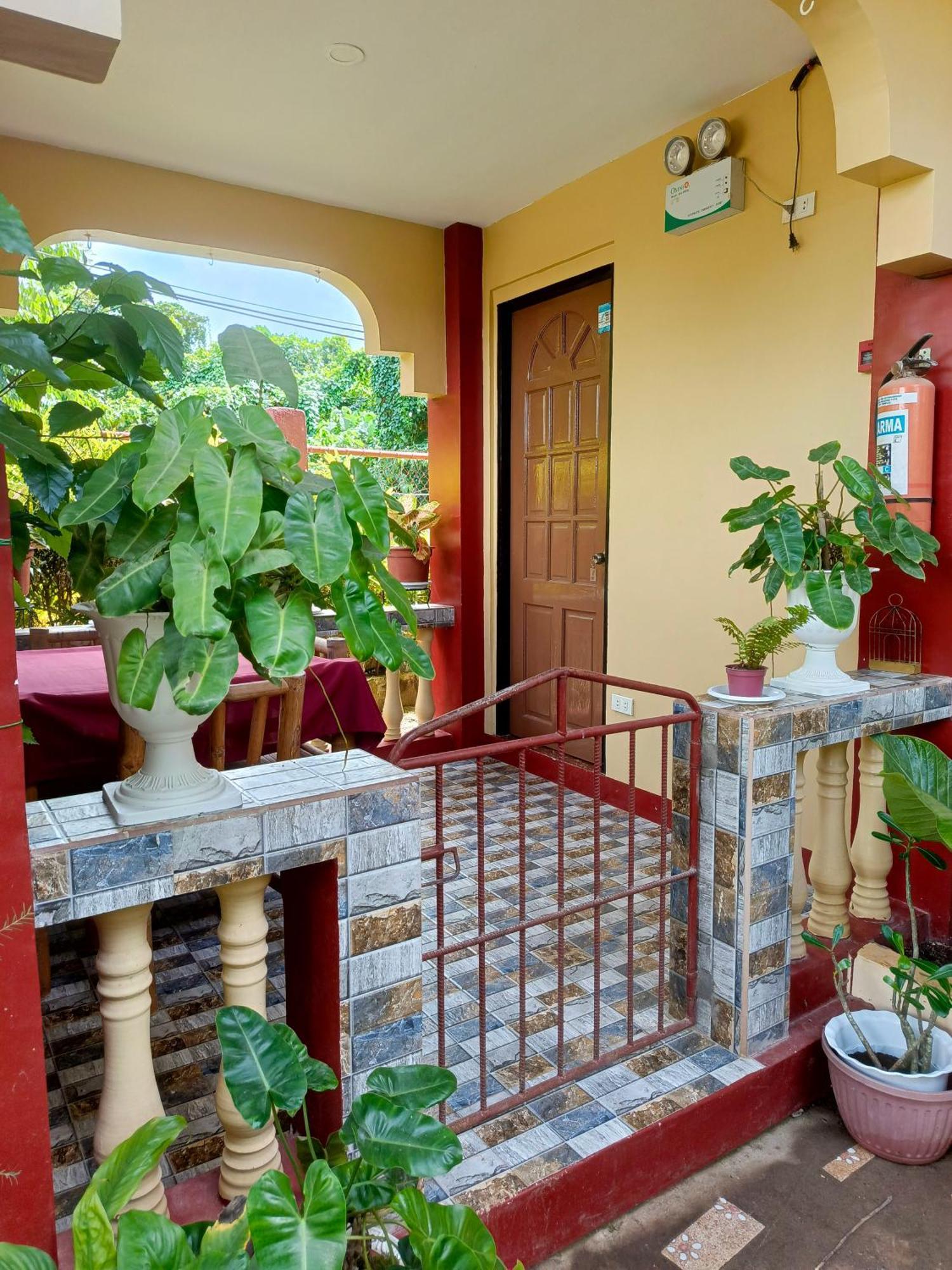 Peace Lily Studio Apartments Panglao Island Room photo