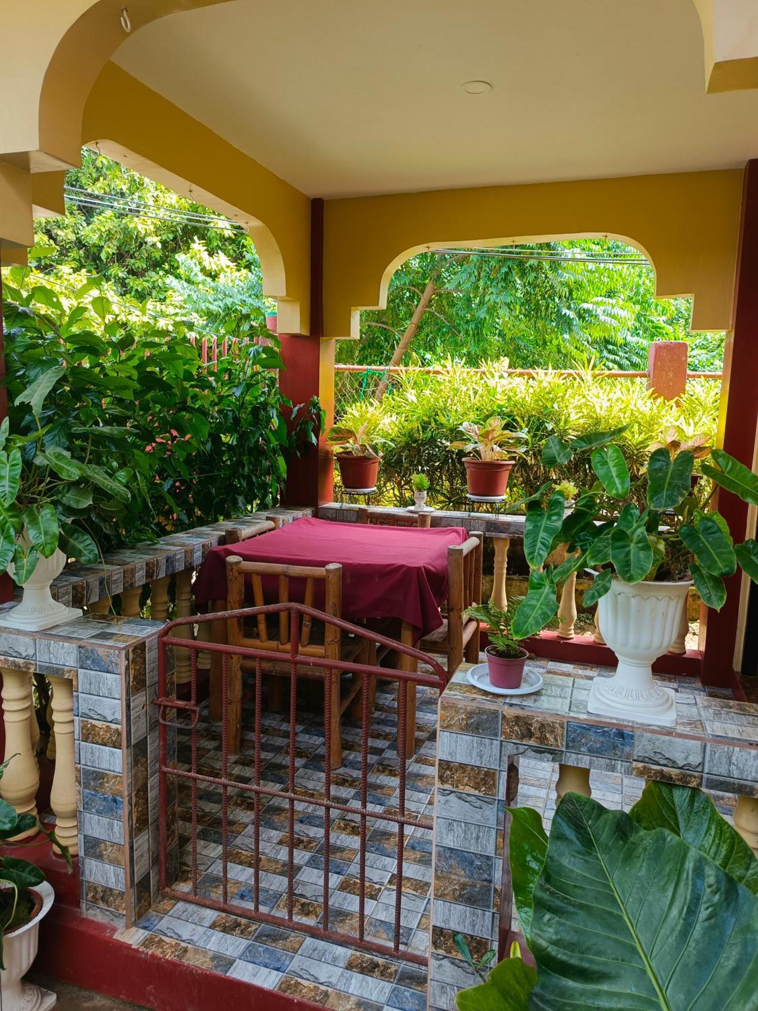 Peace Lily Studio Apartments Panglao Island Room photo