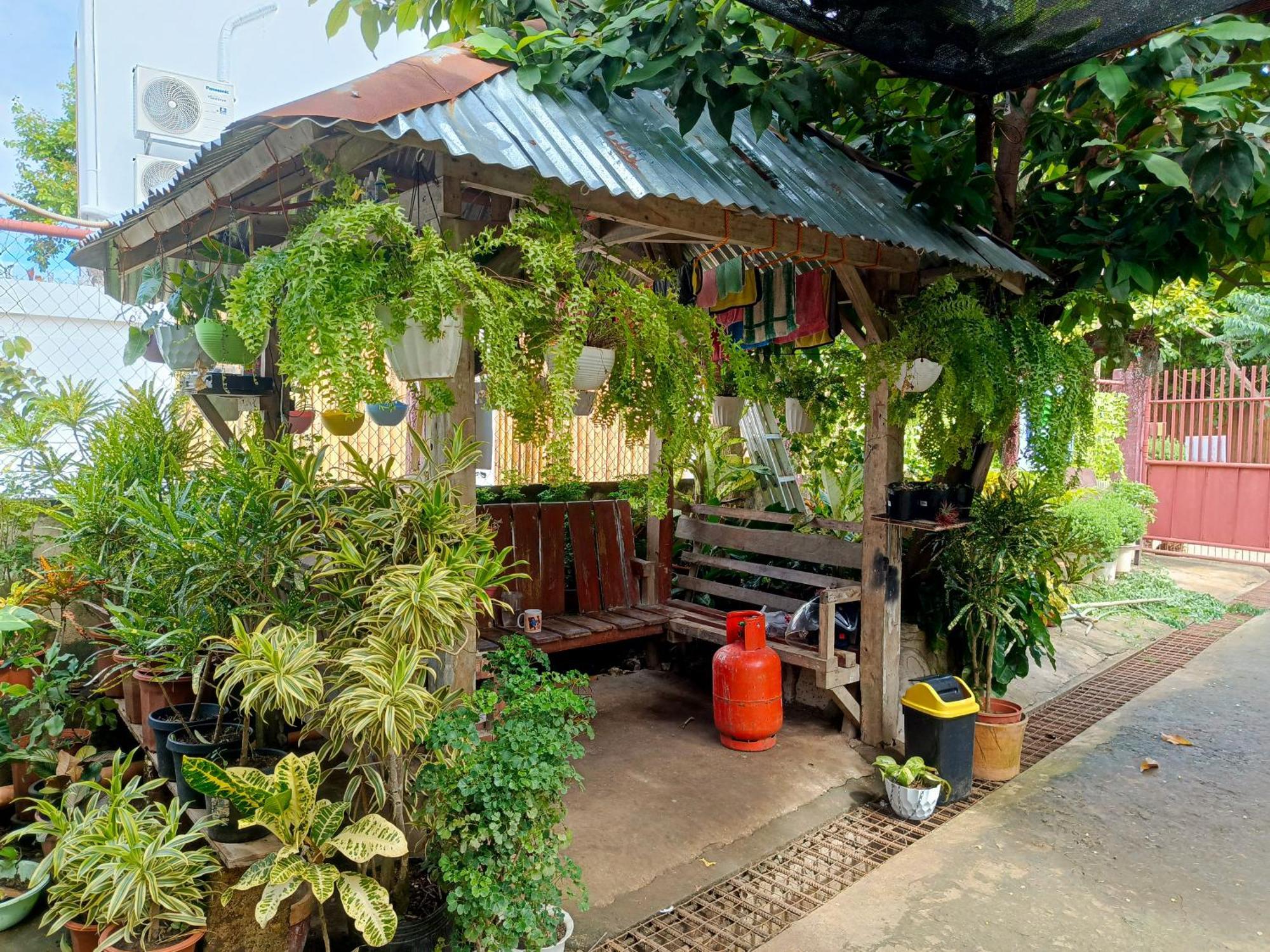 Peace Lily Studio Apartments Panglao Island Exterior photo